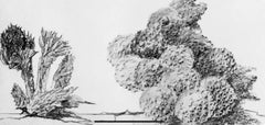 Max Ernst, The Chestnut Trees Take-Off, from Natural History, 1972 (after)