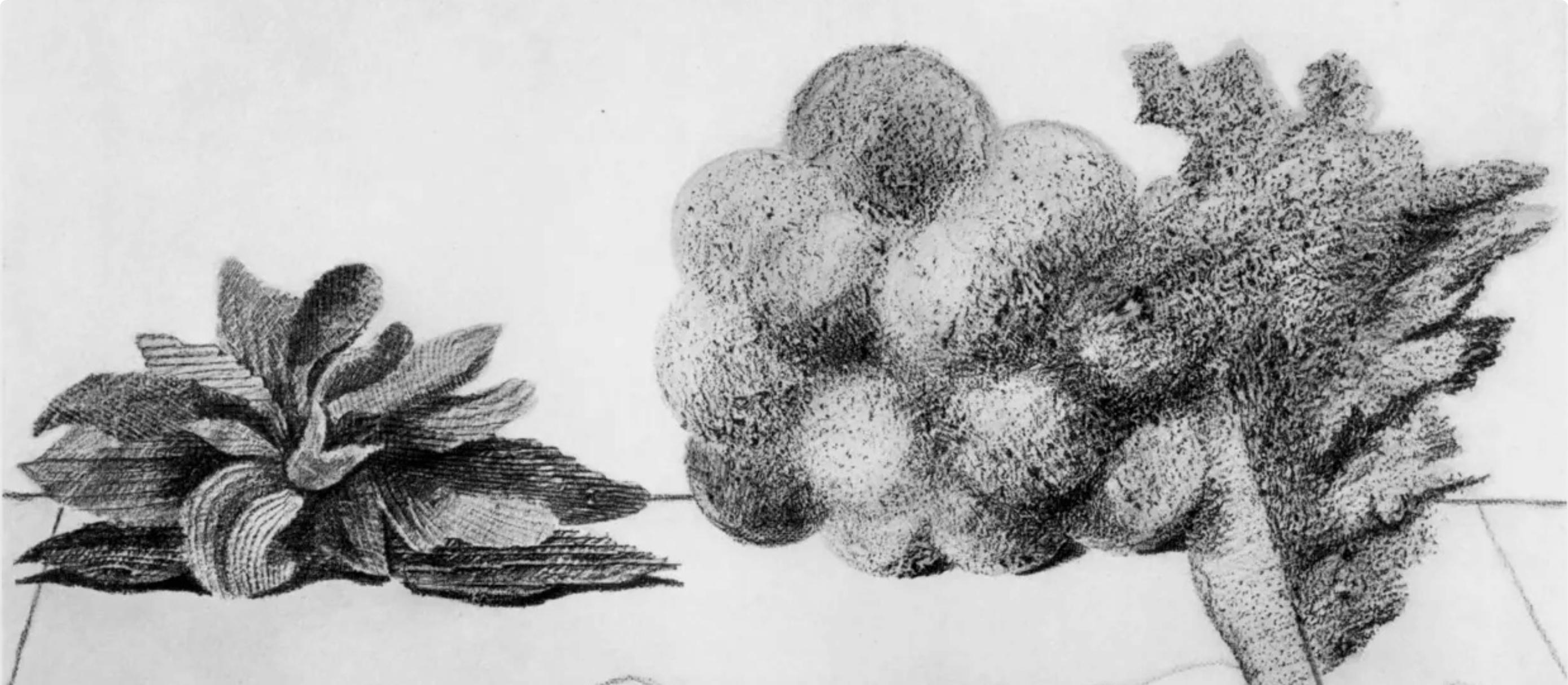 Ernst, Composición (Spies/Leppien 222), Histoire Naturelle (después) - Print de Max Ernst