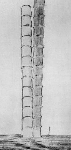 Max Ernst, Die falschen Positionen, aus Naturgeschichte, 1972 (nach) Max Ernst