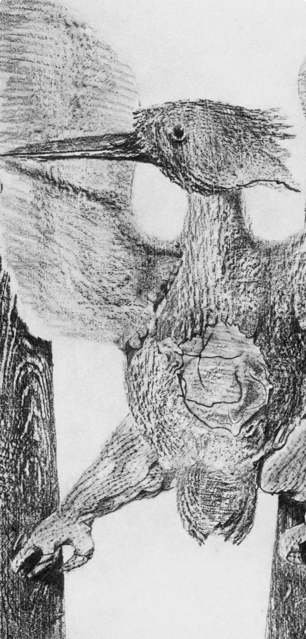 Ernst, Composition (Spies/Leppien 222), Histoire Naturelle (after) - Print by Max Ernst