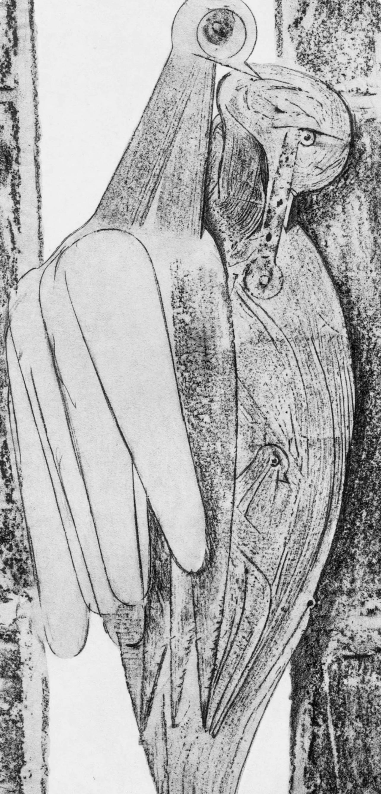 Ernst, Composition (Spies/Leppien 222), Histoire Naturelle (after) - Print by Max Ernst