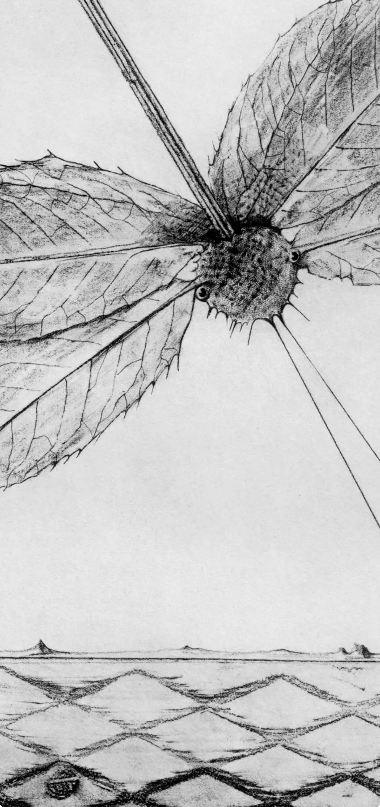 Ernst, Composition (Spies/Leppien 222), Histoire naturelle (après) - Print de Max Ernst