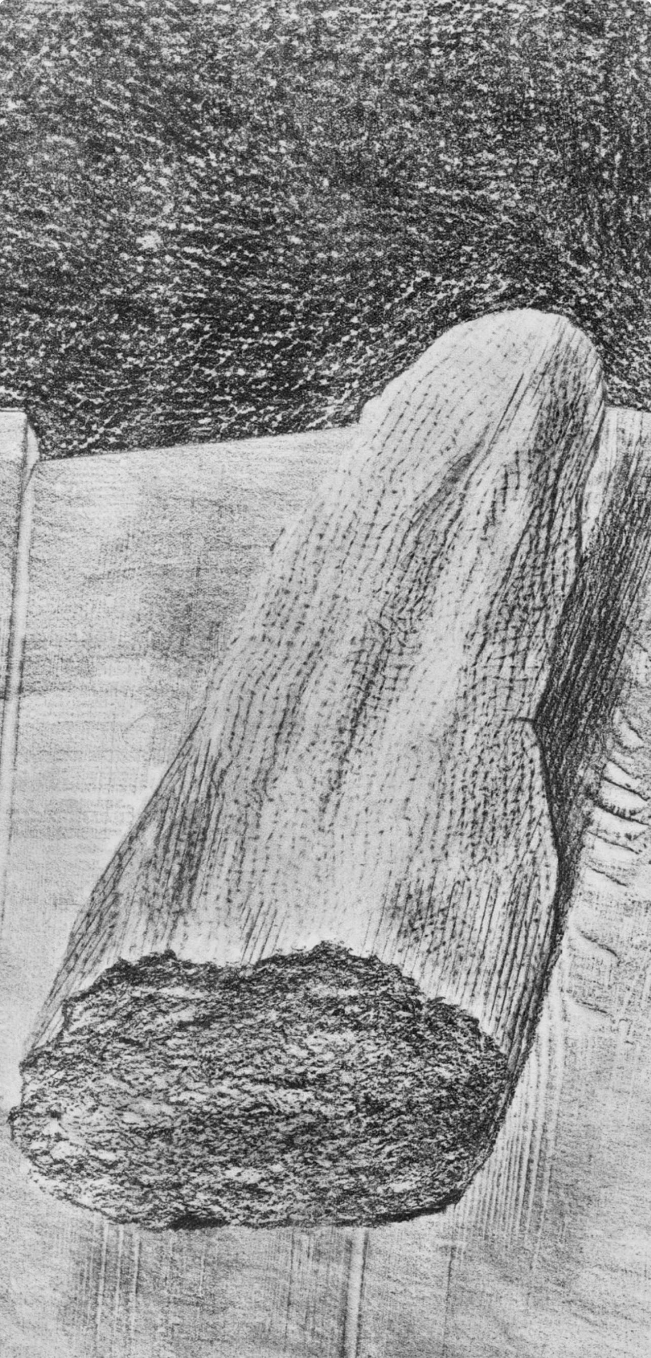 Ernst, Composition (Spies/Leppien 222), Histoire Naturelle (after) - Print by Max Ernst