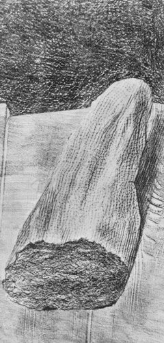 Max Ernst, The Vaccinated Bread, from Natural History, 1972 (after)