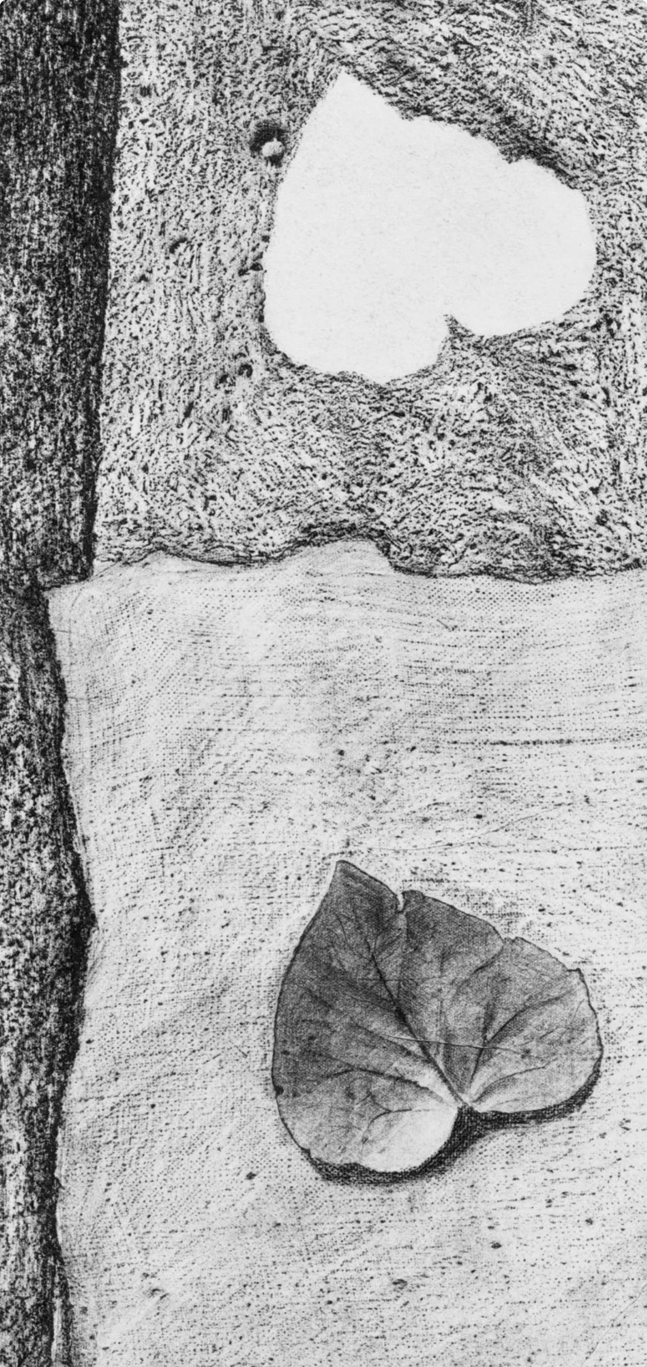 Ernst, Composition (Spies/Leppien 222), Histoire naturelle (après) - Print de Max Ernst