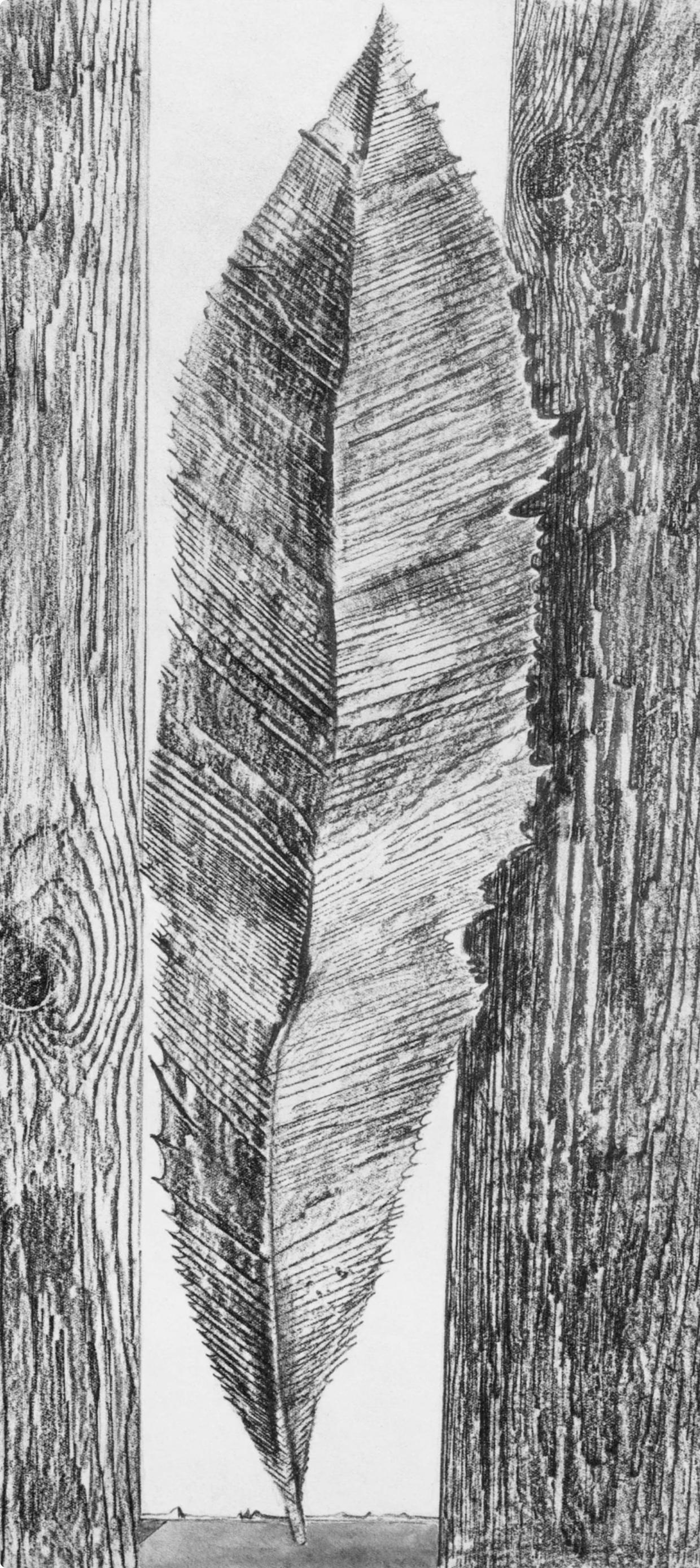 Ernst, Composition (Spies/Leppien 222), Histoire Naturelle (after) - Print by Max Ernst