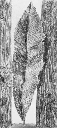 Ernst, Composition (Spies/Leppien 222), Histoire Naturelle (after)