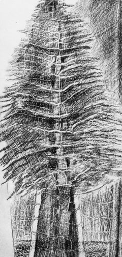 Max Ernst, The Fascinating Cypress, from Natural History, 1972 (after)