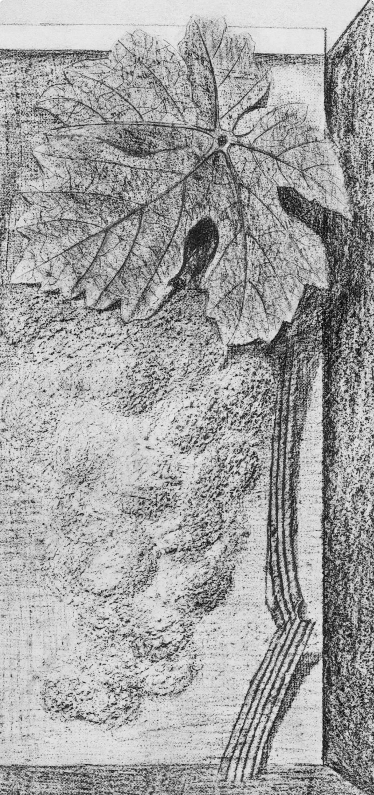 Ernst, Composition (Spies/Leppien 222), Histoire naturelle (après) - Print de Max Ernst