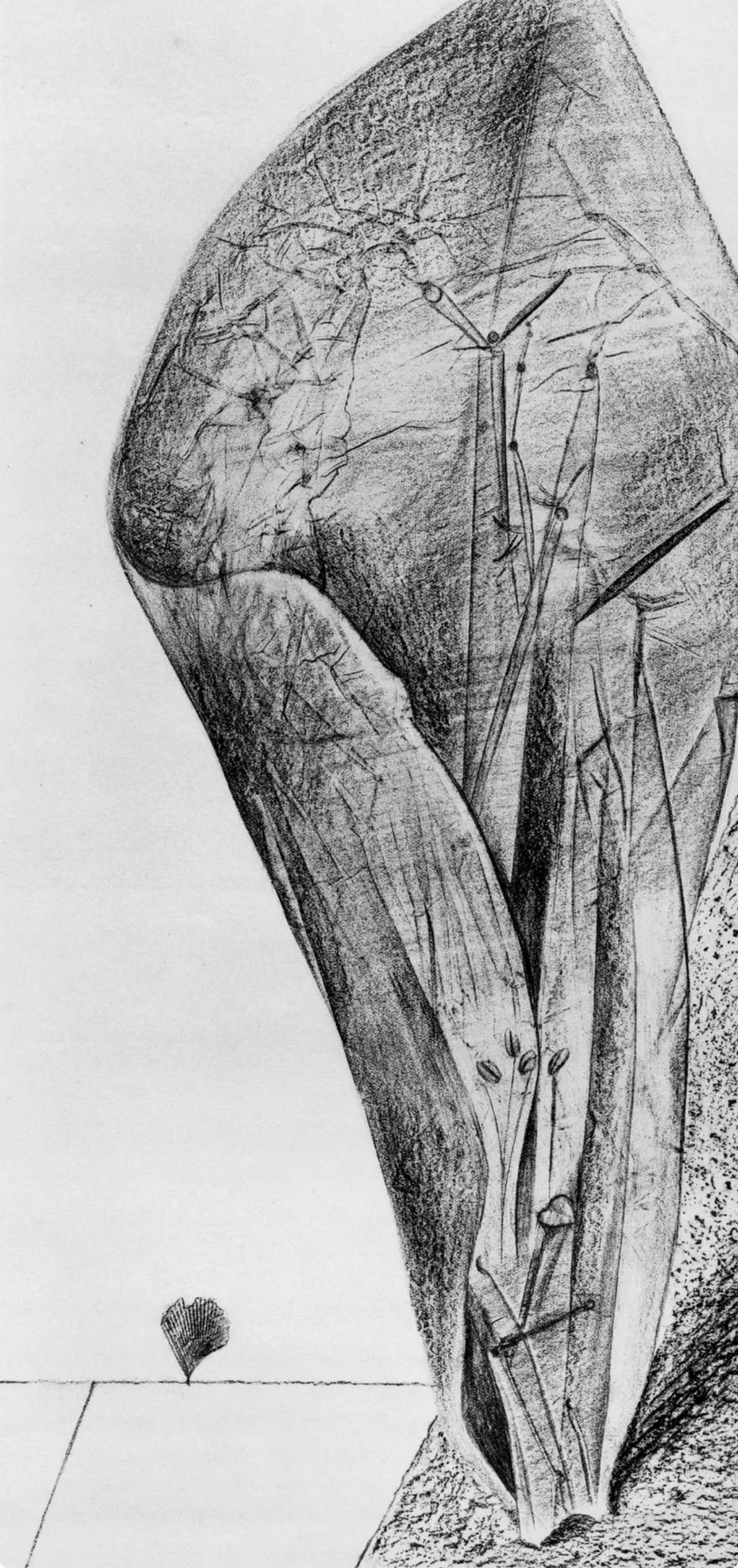 Ernst, Composition (Spies/Leppien 222), Histoire naturelle (après) - Print de Max Ernst