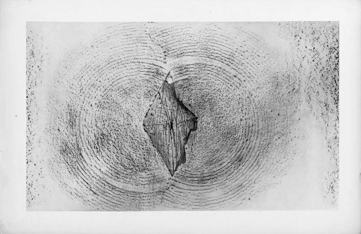 Ernst, Composition (Spies/Leppien 222), Histoire Naturelle (after) - Surrealist Print by Max Ernst