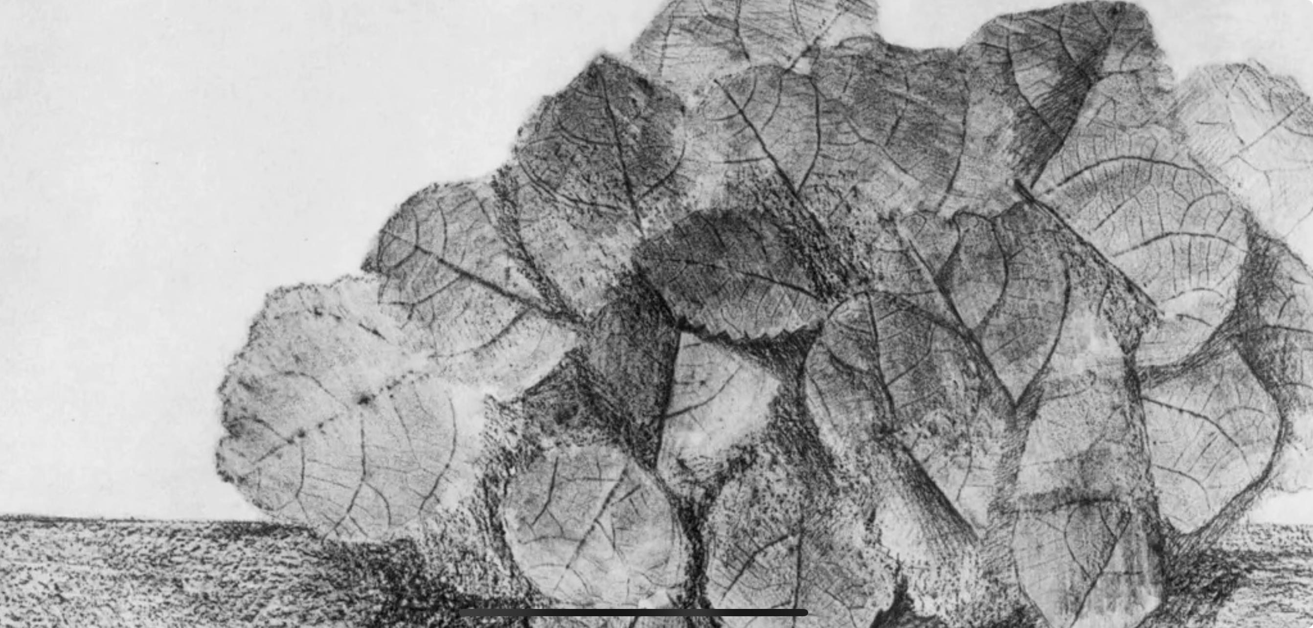 Ernst, Composition (Spies/Leppien 222), Histoire Naturelle (after) - Surrealist Print by Max Ernst