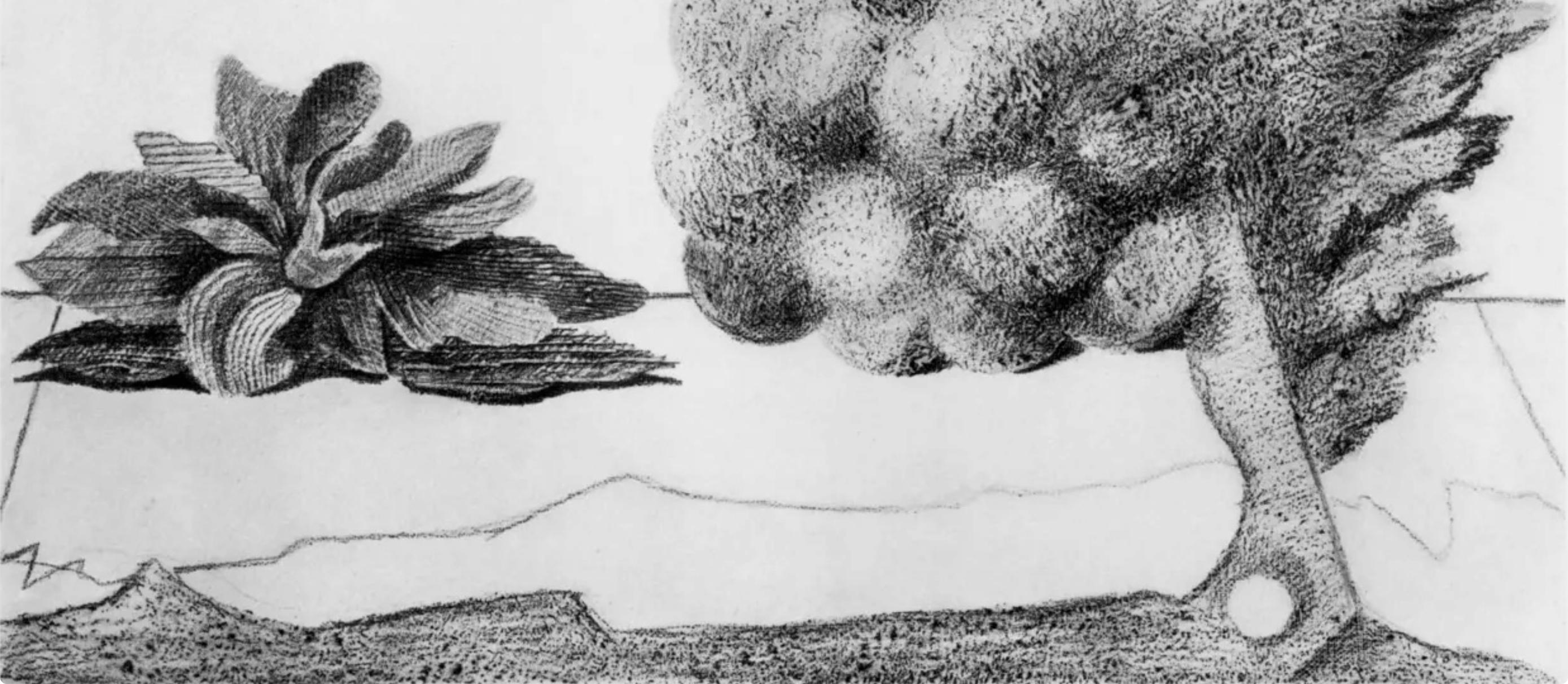 Ernst, Composición (Spies/Leppien 222), Histoire Naturelle (después) - Print Surrealista de Max Ernst