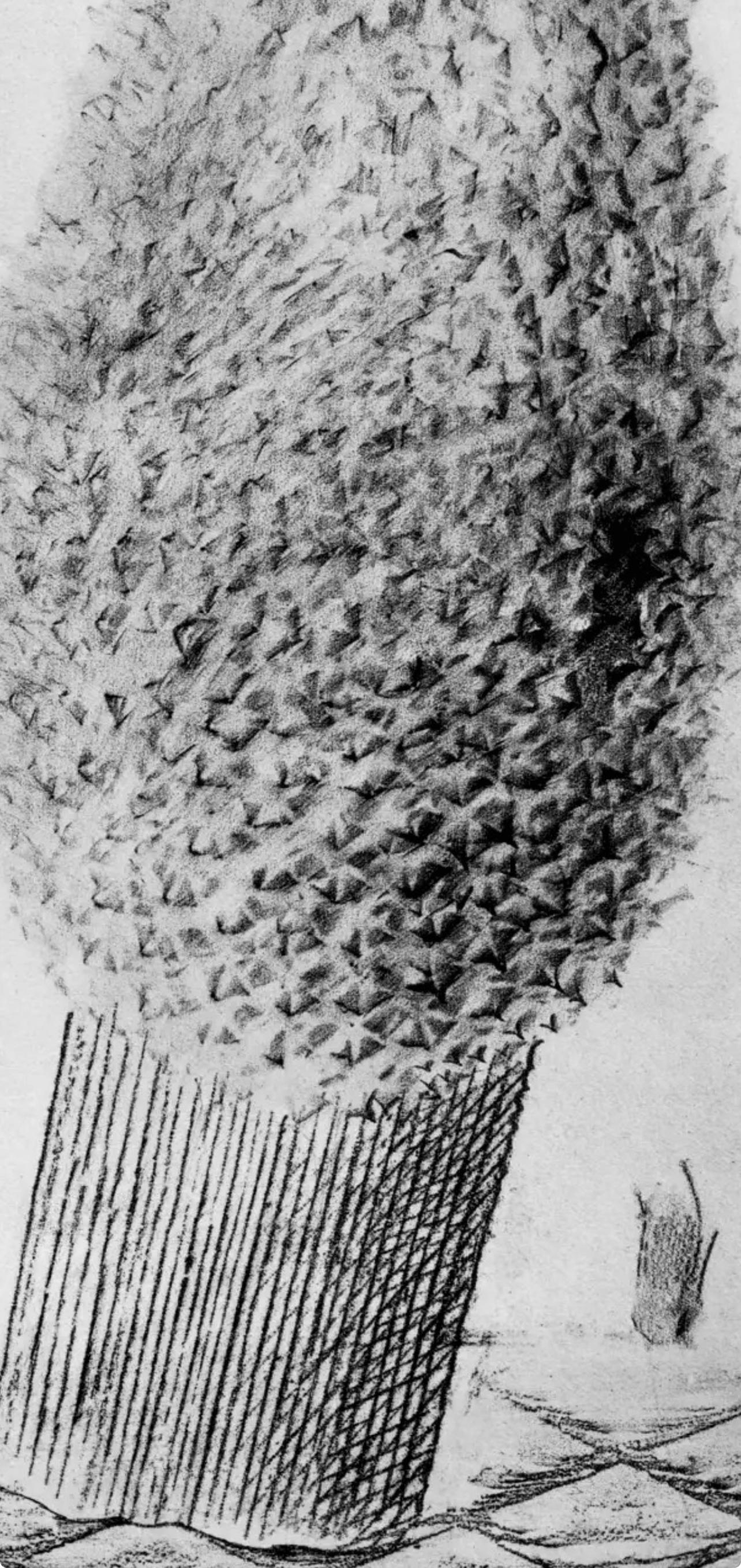 Ernst, Composition (Spies/Leppien 222), Histoire Naturelle (after) - Surrealist Print by Max Ernst