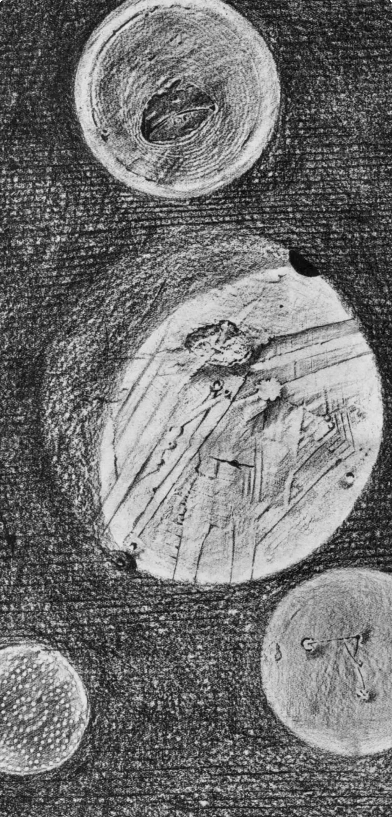 Ernst, Composition (Spies/Leppien 222), Histoire Naturelle (after) - Surrealist Print by Max Ernst