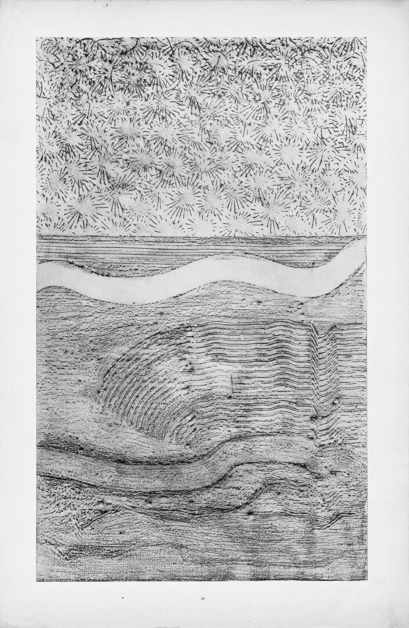 Ernst, Composition (Spies/Leppien 222), Histoire naturelle (après) - Surréalisme Print par Max Ernst