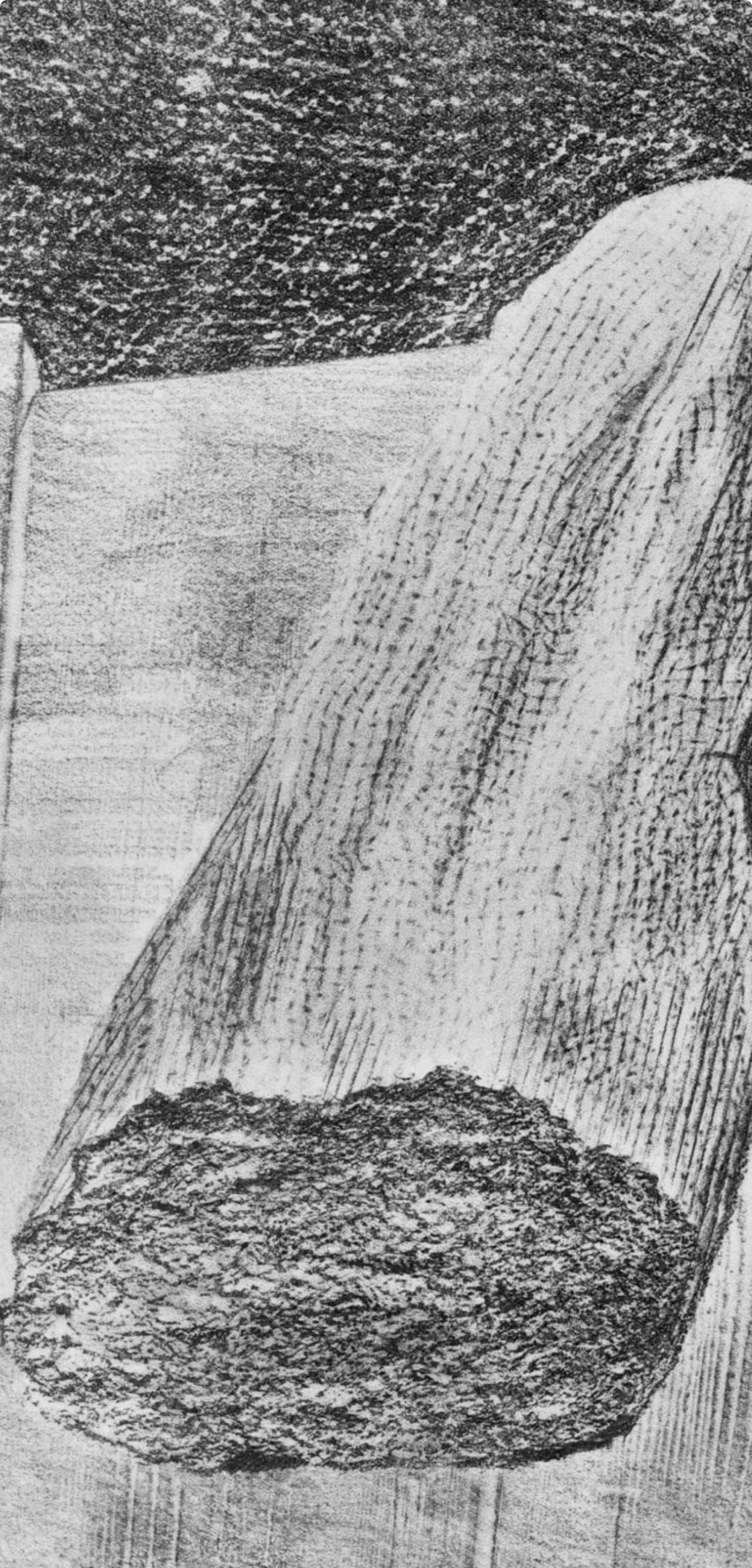 Ernst, Composition (Spies/Leppien 222), Histoire Naturelle (after) - Surrealist Print by Max Ernst