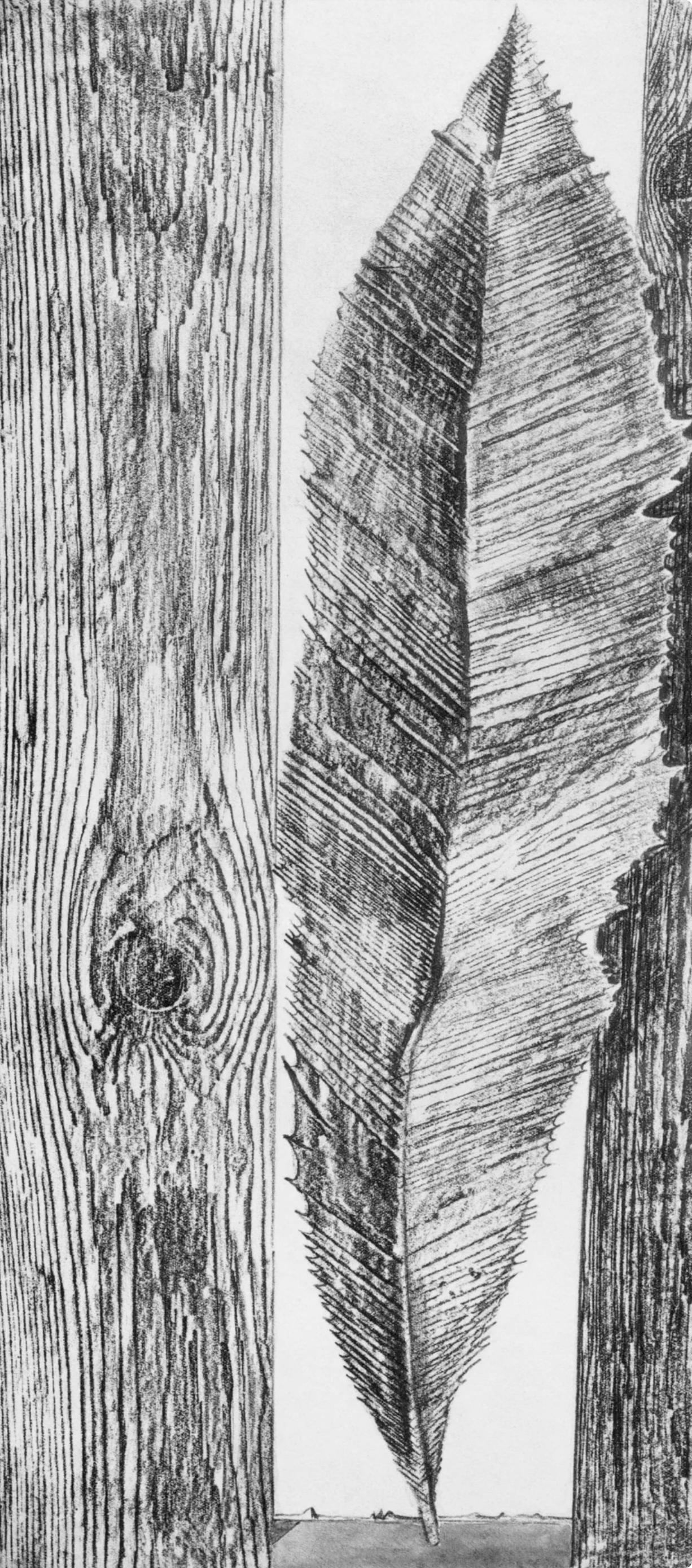 Ernst, Composition (Spies/Leppien 222), Histoire Naturelle (after) - Surrealist Print by Max Ernst
