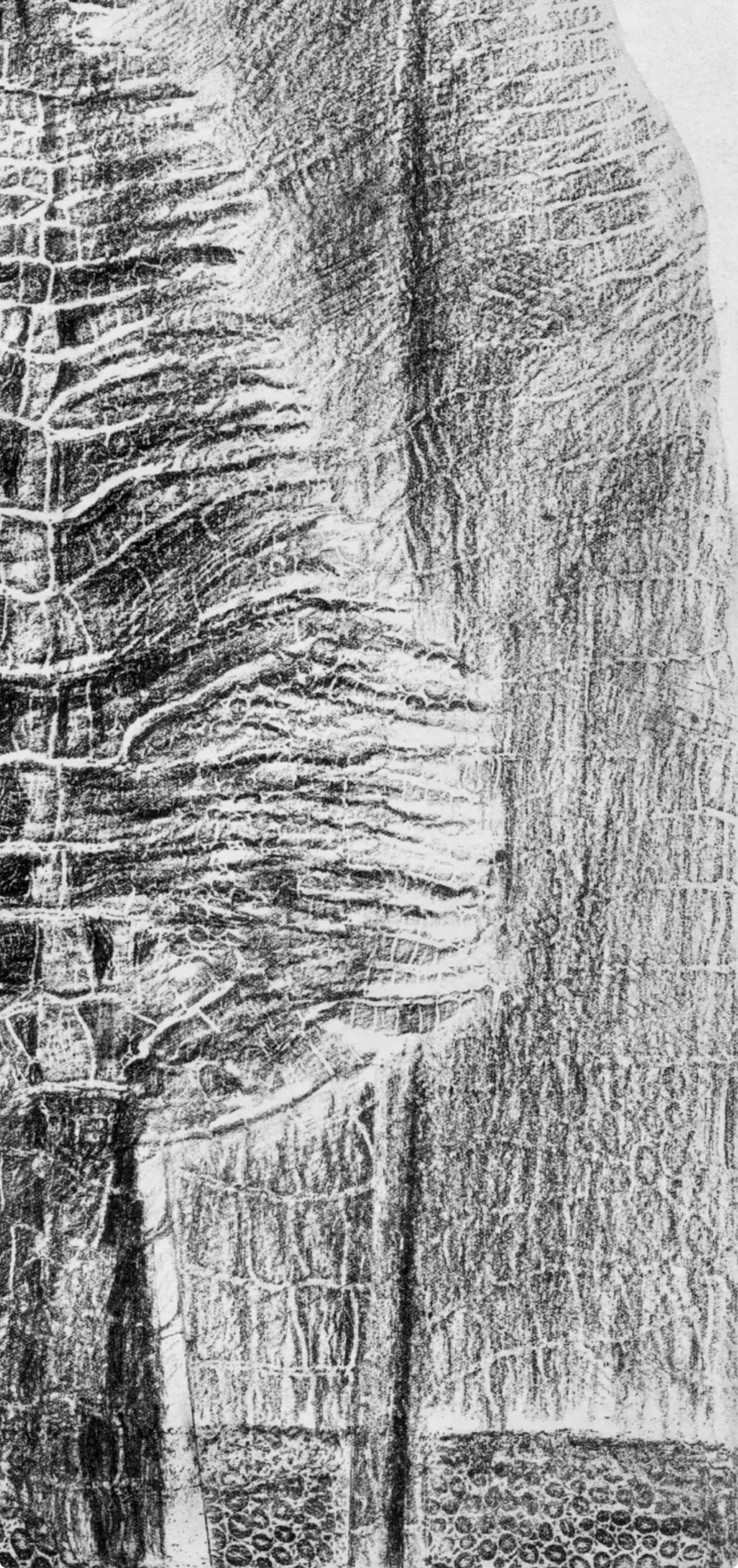 Ernst, Composition (Spies/Leppien 222), Histoire Naturelle (after) - Surrealist Print by Max Ernst