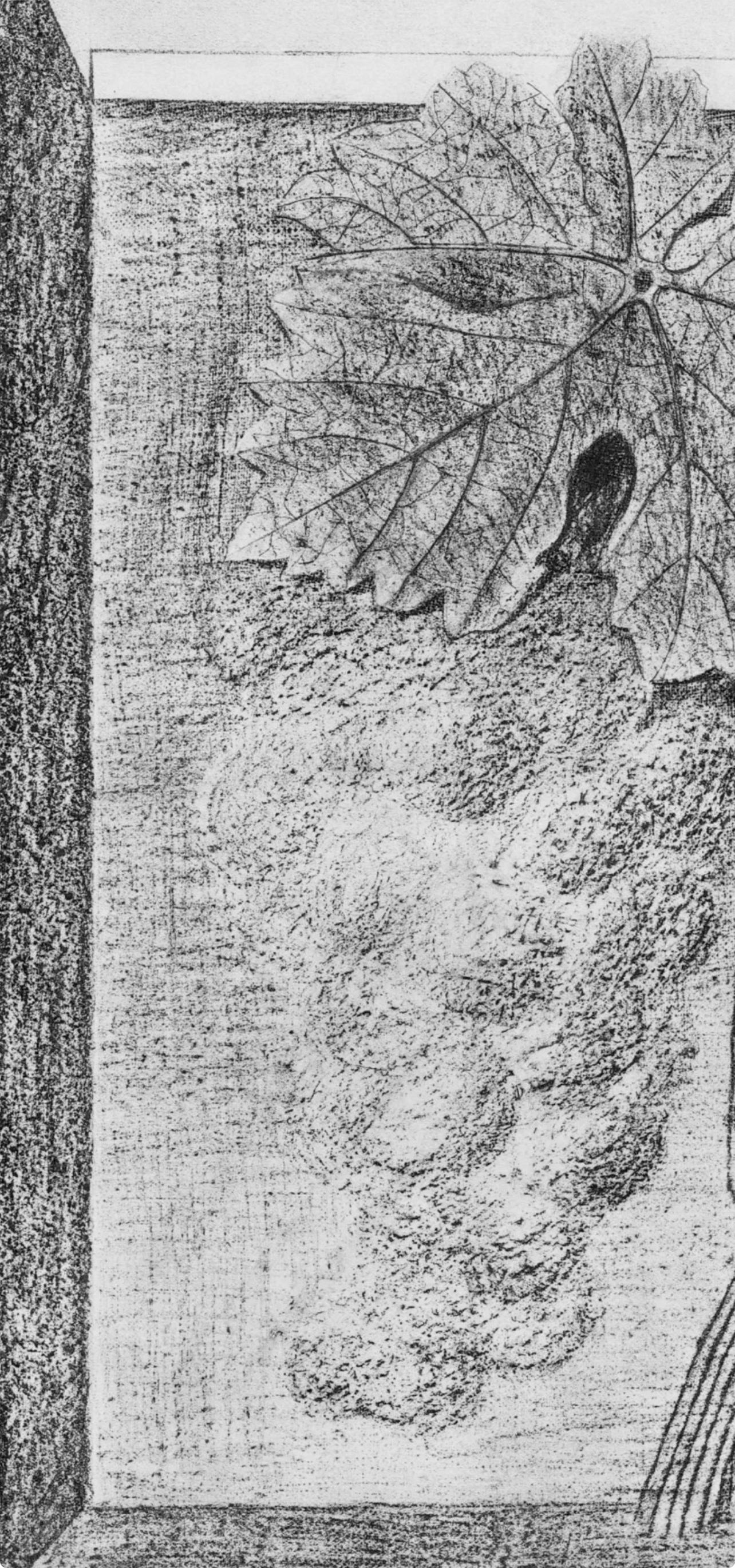Ernst, Composition (Spies/Leppien 222), Histoire naturelle (après) - Surréalisme Print par Max Ernst