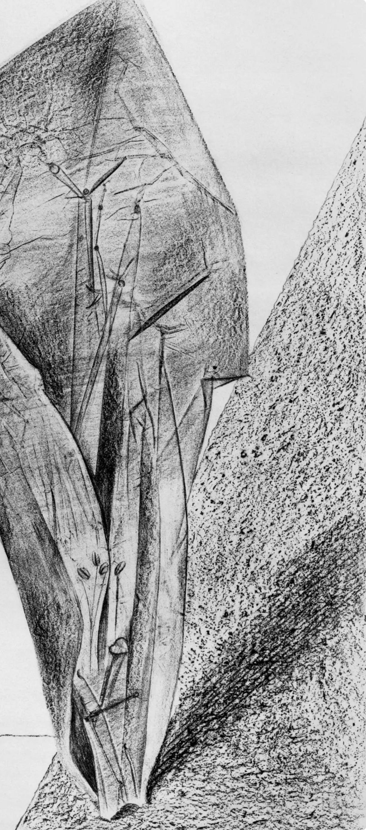 Ernst, Composition (Spies/Leppien 222), Histoire naturelle (après) - Surréalisme Print par Max Ernst