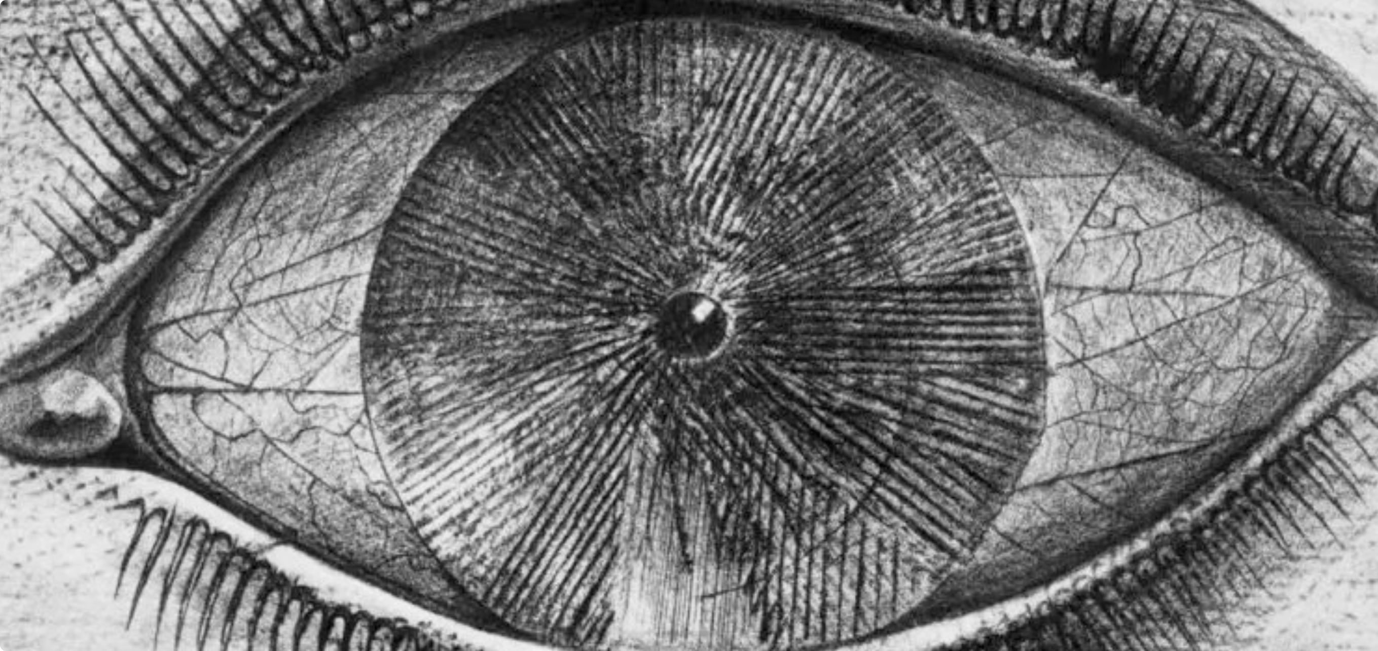 Ernst, Composition (Spies/Leppien 222), Histoire naturelle (après) - Surréalisme Print par Max Ernst
