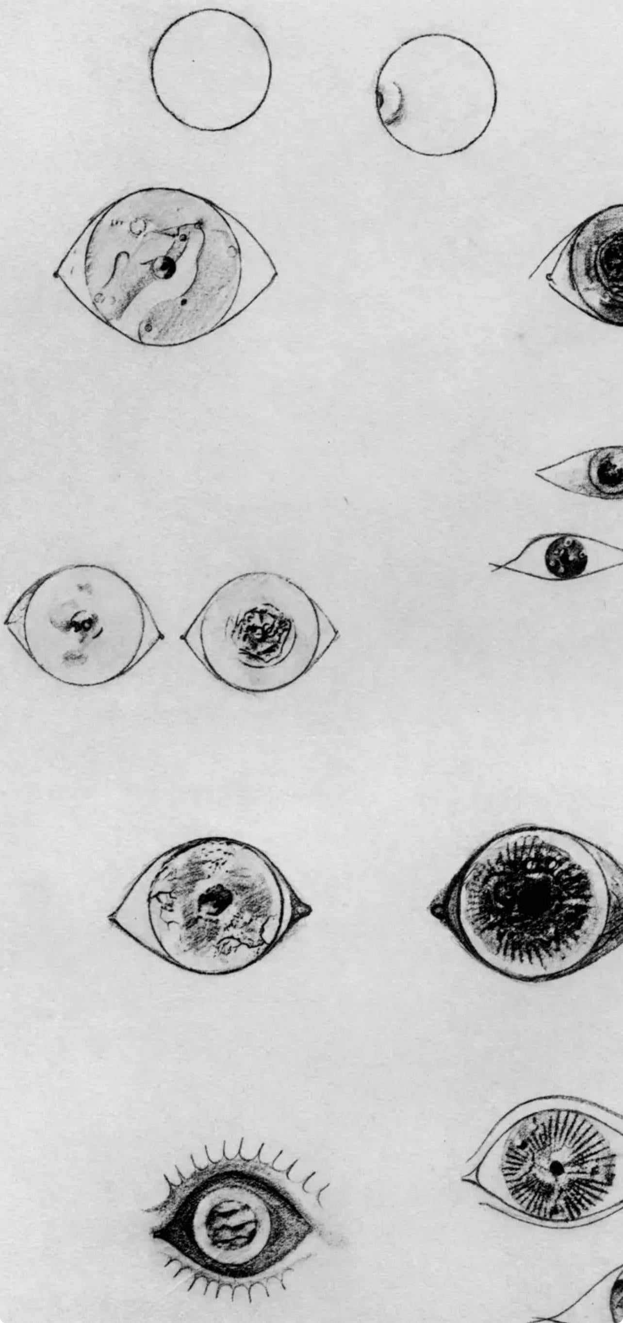 Ernst, Komposition (Spies/Leppien 222), Histoire Naturelle (nach) (Surrealismus), Print, von Max Ernst