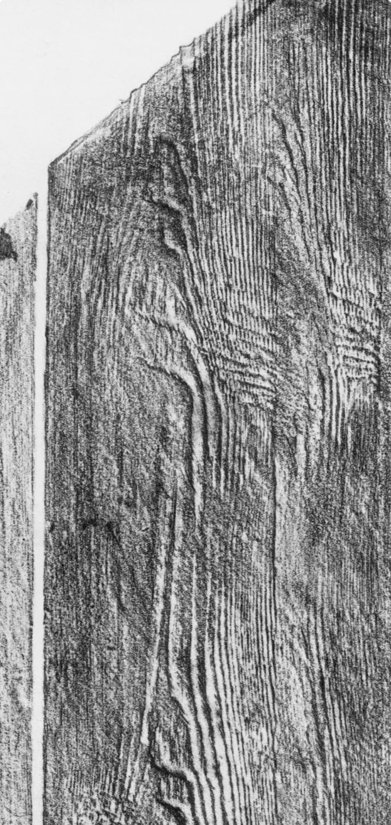 Max Ernst, Sans titre (Spies/Leppien 222), from Histoire Naturelle (after) For Sale 2