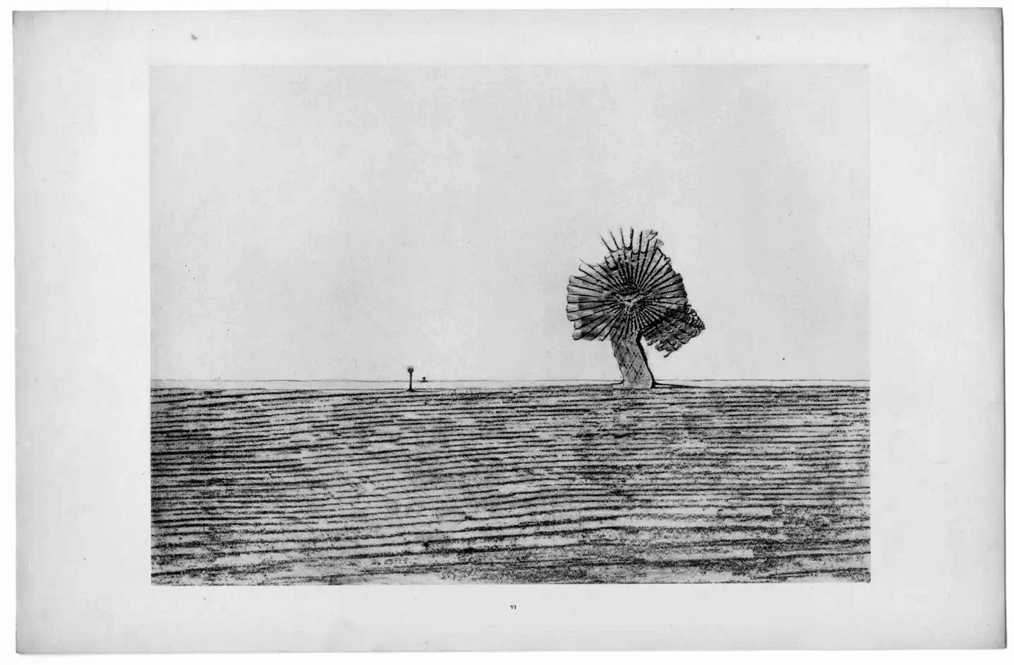 Ernst, Composition (Spies/Leppien 222), Histoire Naturelle (after) - Gray Figurative Print by Max Ernst