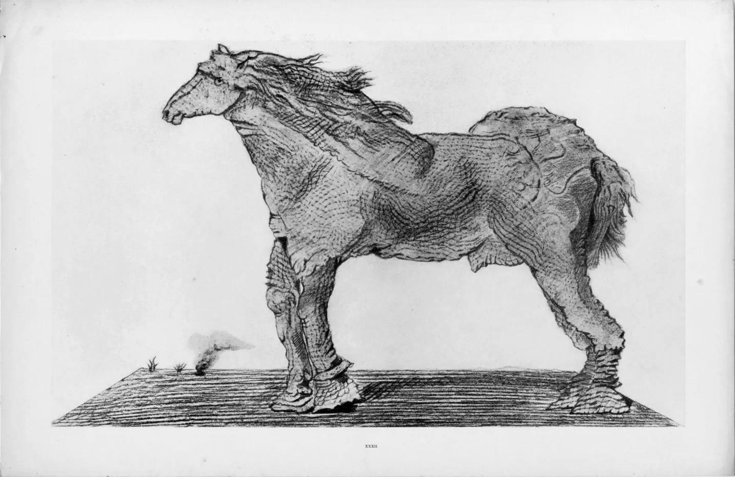 Ernst, Composition (Spies/Leppien 222), Histoire Naturelle (after) - Gray Landscape Print by Max Ernst