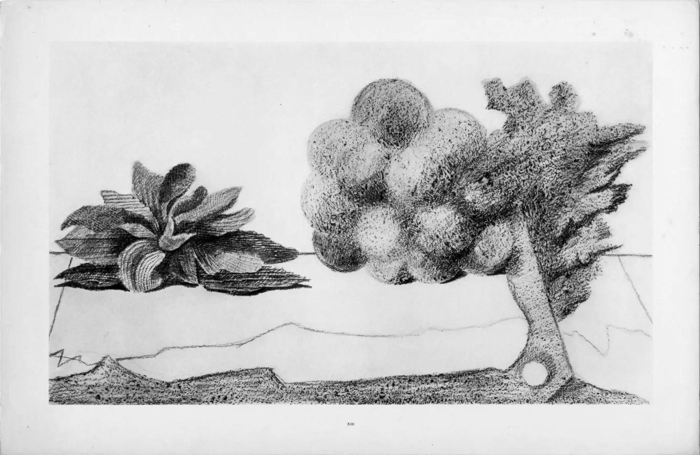 Ernst, Composición (Spies/Leppien 222), Histoire Naturelle (después) - Landscape Print Gris de Max Ernst