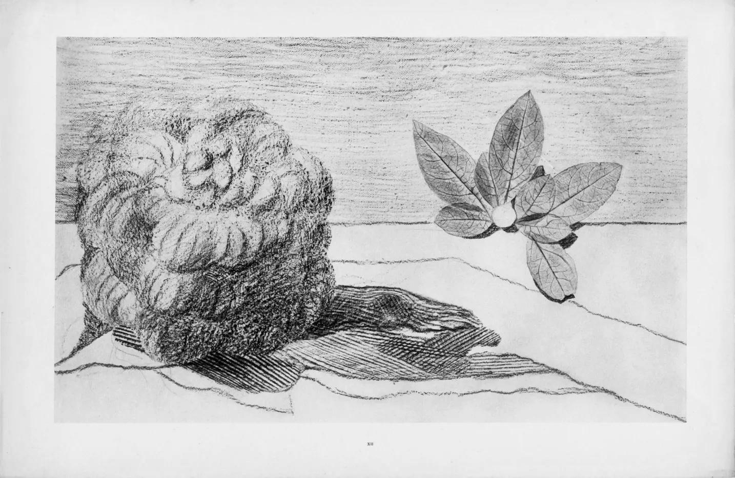 Ernst, Composition (Spies/Leppien 222), Histoire Naturelle (after) - Gray Figurative Print by Max Ernst