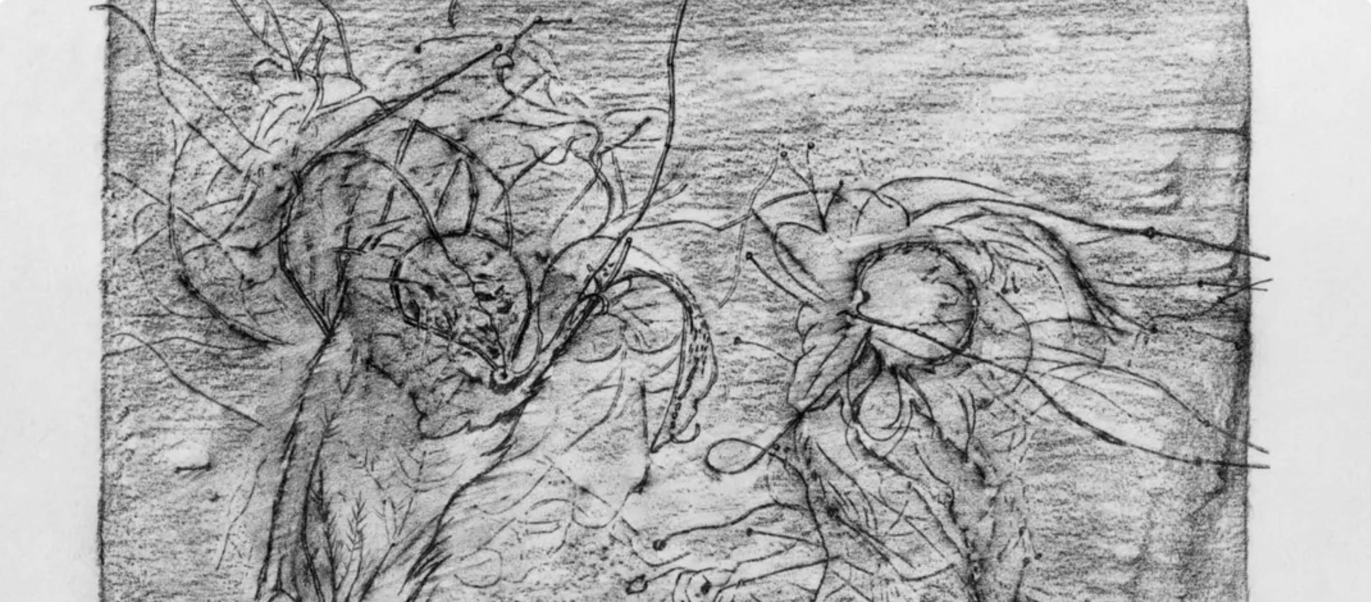 Ernst, Composition (Spies/Leppien 222), Histoire Naturelle (after) - Gray Figurative Print by Max Ernst