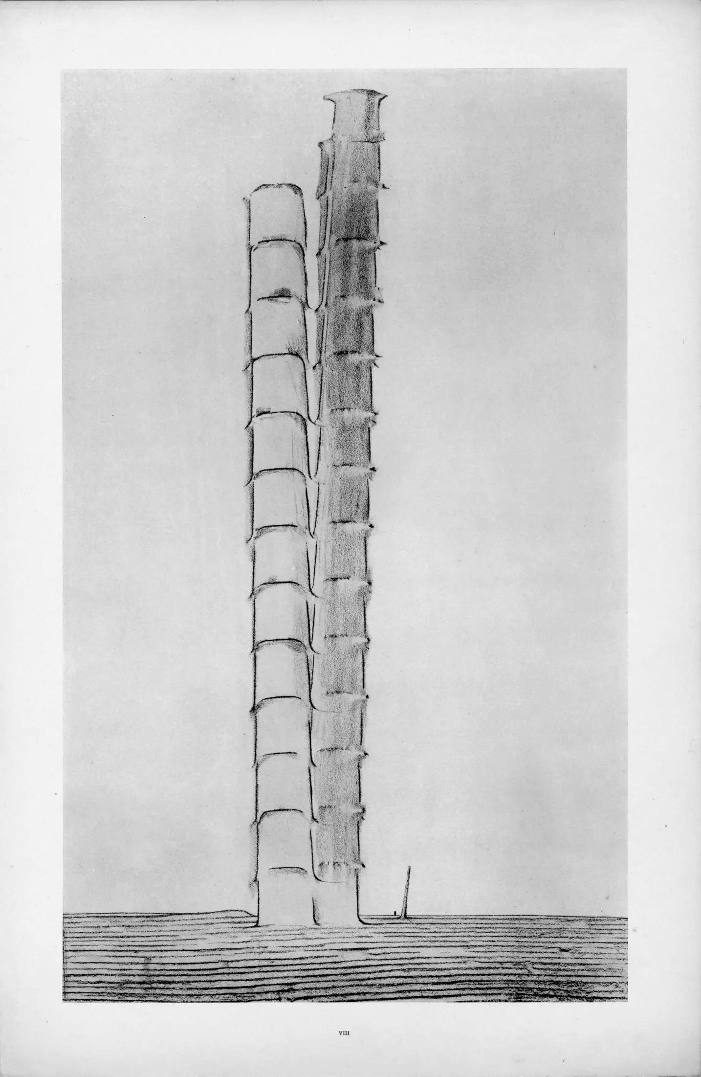 Ernst, Composition (Spies/Leppien 222), Histoire Naturelle (after) - Gray Figurative Print by Max Ernst