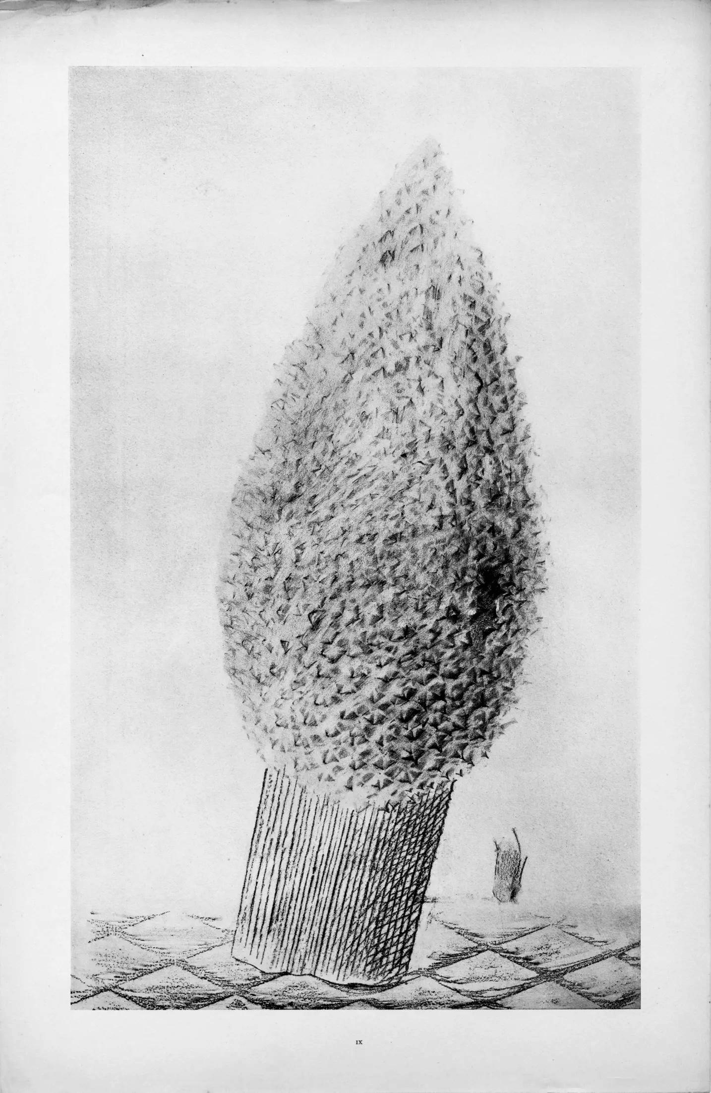 Ernst, Composition (Spies/Leppien 222), Histoire Naturelle (after) - Gray Figurative Print by Max Ernst