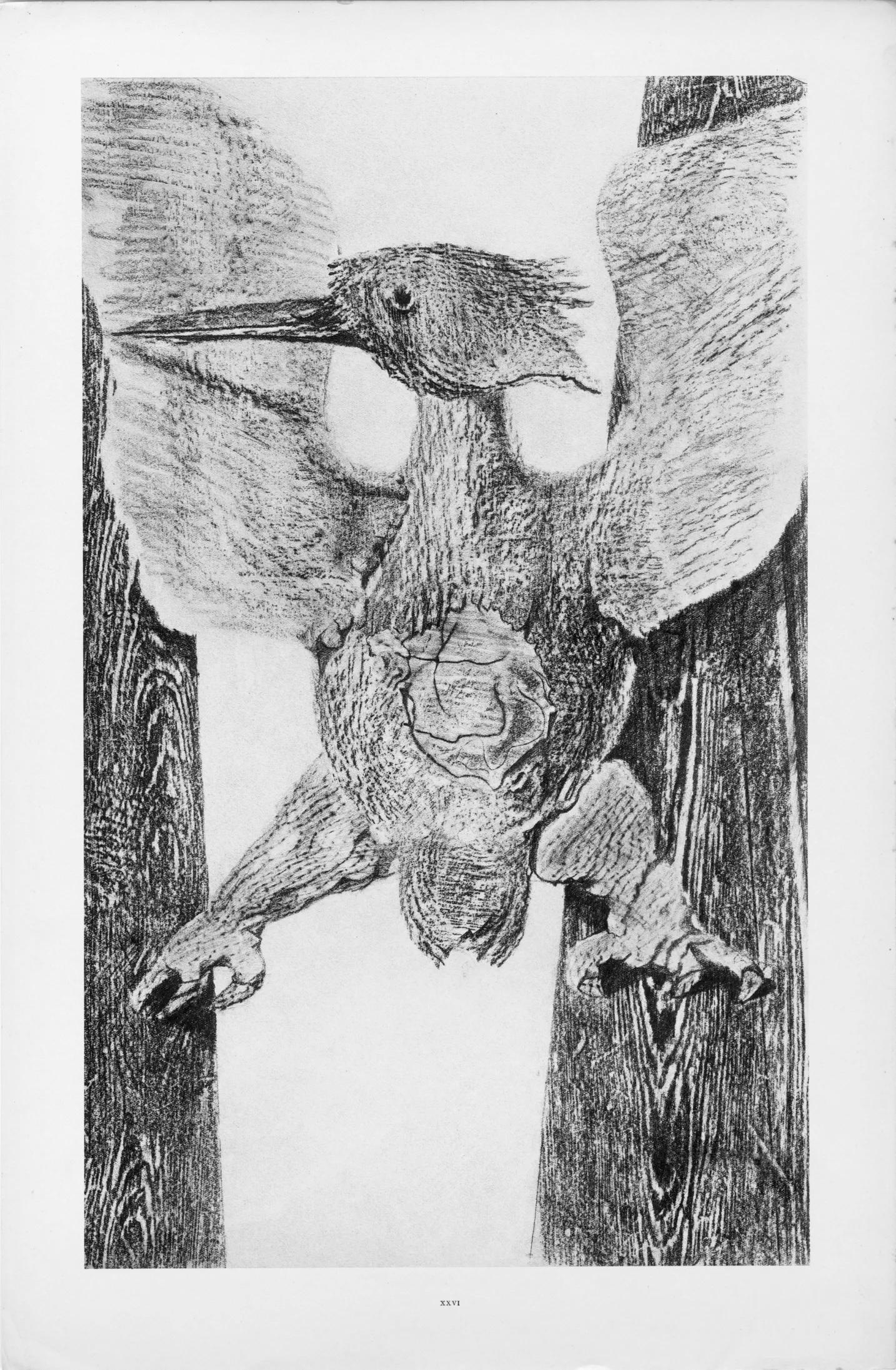 Ernst, Composition (Spies/Leppien 222), Histoire Naturelle (after) - Gray Figurative Print by Max Ernst
