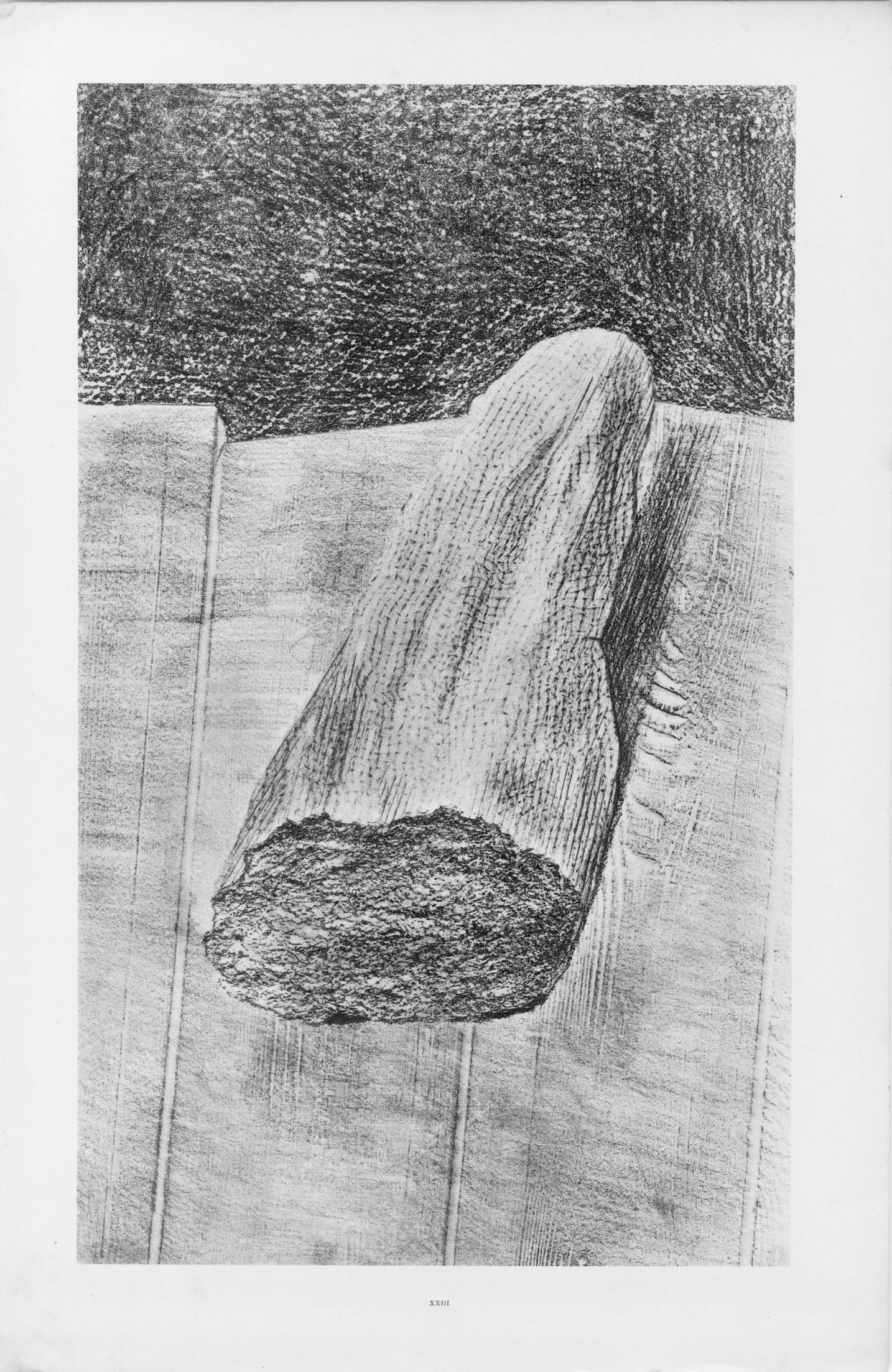 Ernst, Composition (Spies/Leppien 222), Histoire Naturelle (after) - Gray Figurative Print by Max Ernst