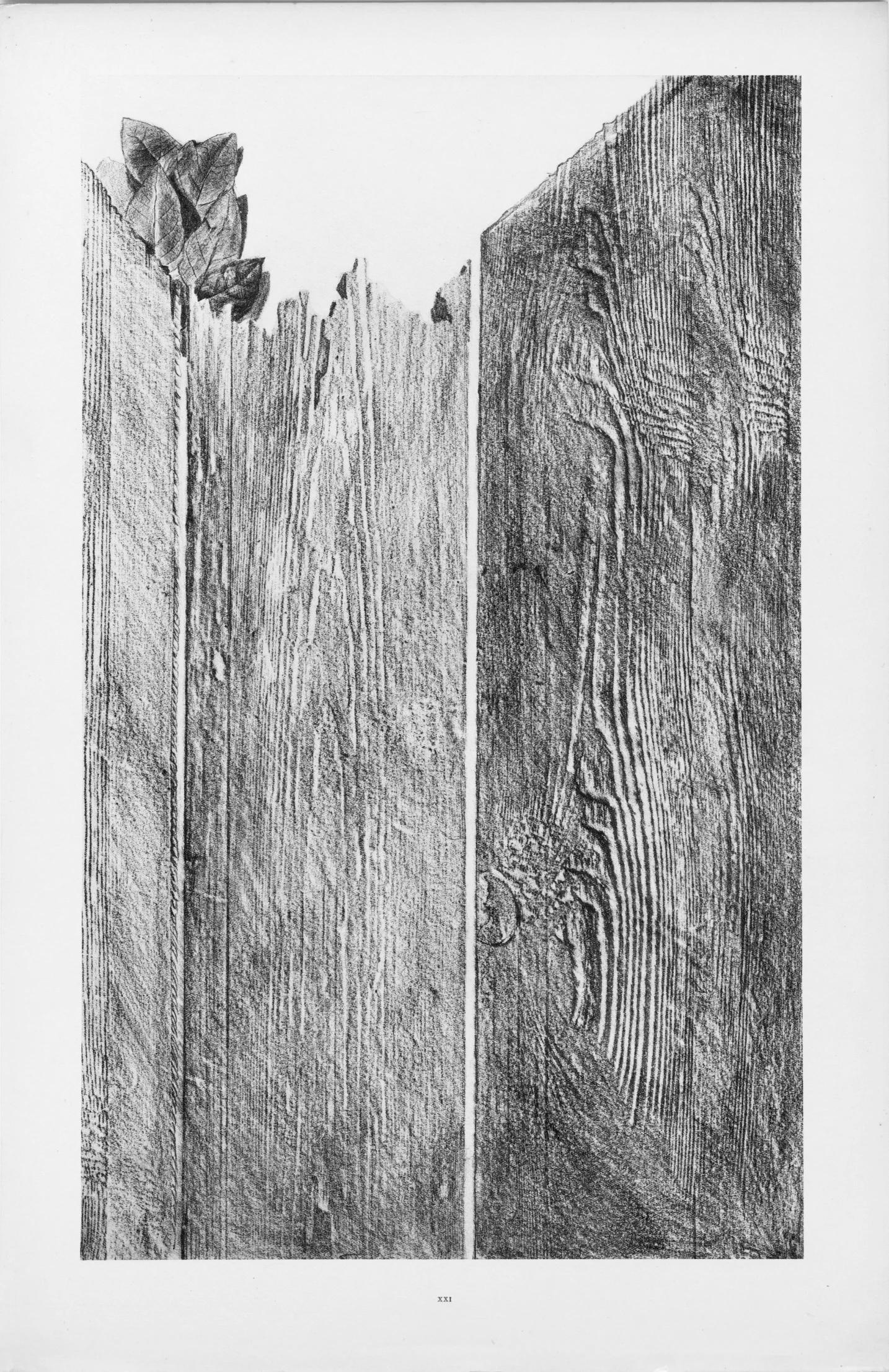 Ernst, Composition (Spies/Leppien 222), Histoire naturelle (après) - Gris Figurative Print par Max Ernst