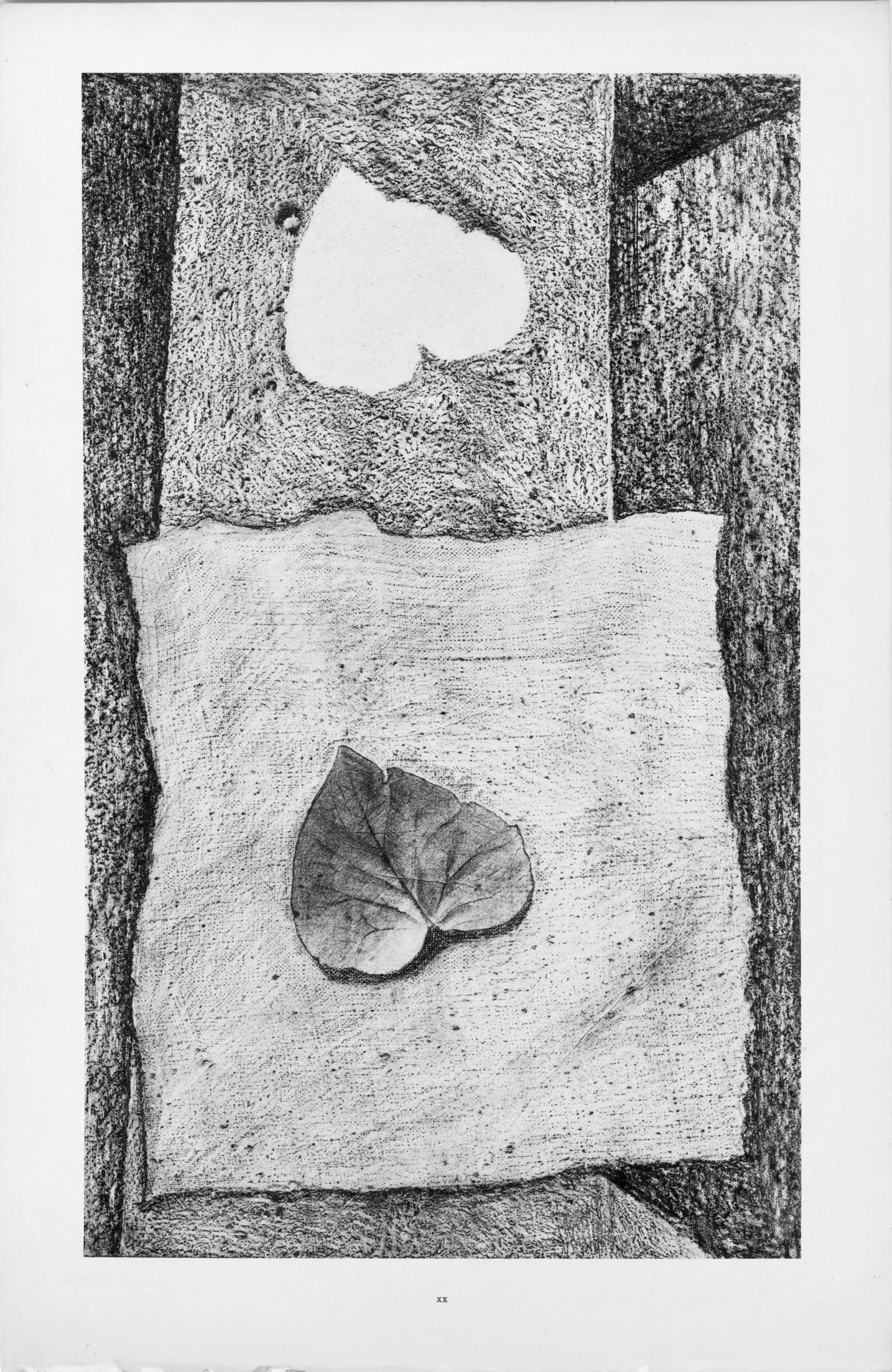 Ernst, Composition (Spies/Leppien 222), Histoire naturelle (après) - Gris Landscape Print par Max Ernst