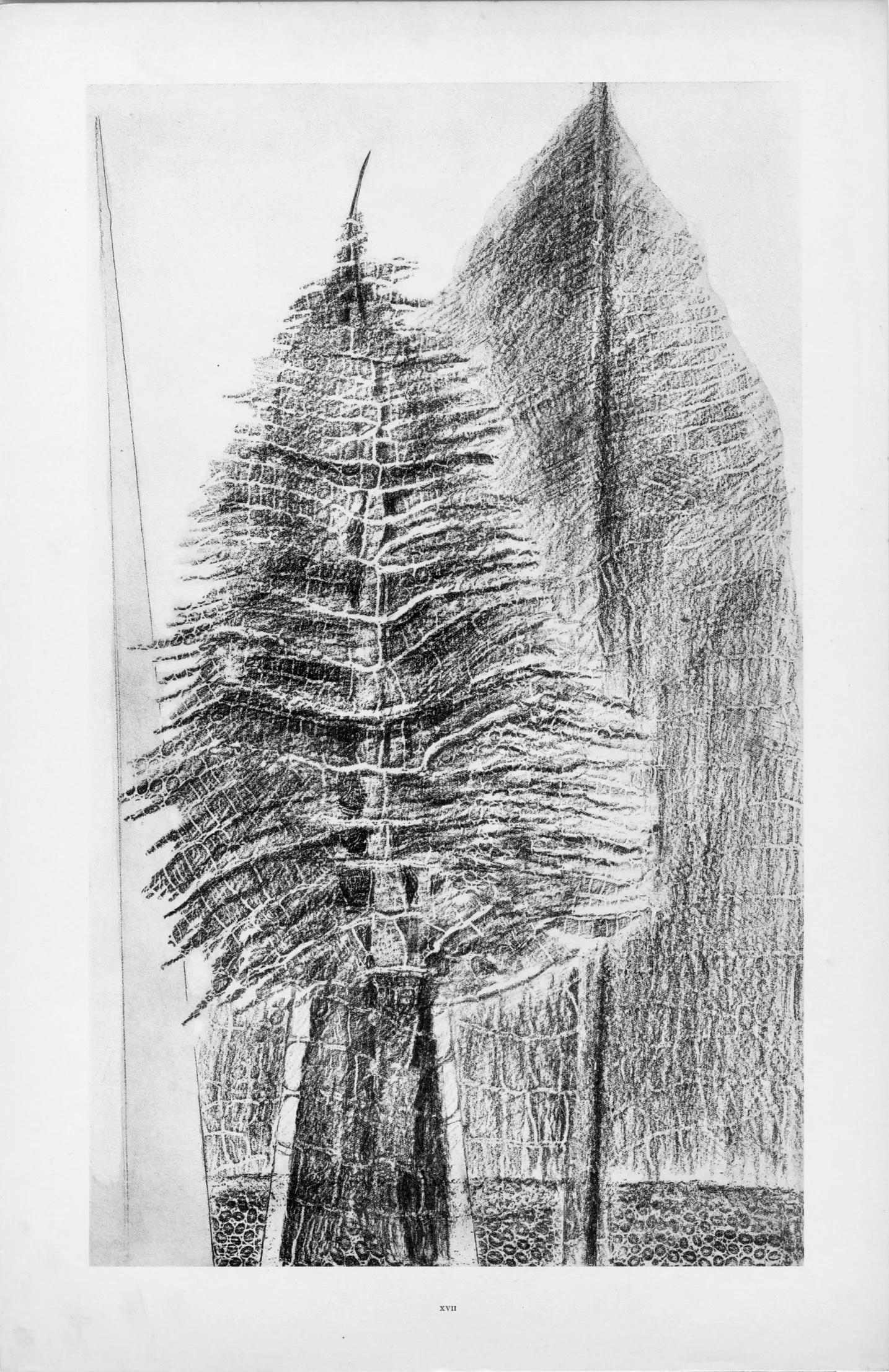 Ernst, Composition (Spies/Leppien 222), Histoire naturelle (après) - Gris Landscape Print par Max Ernst