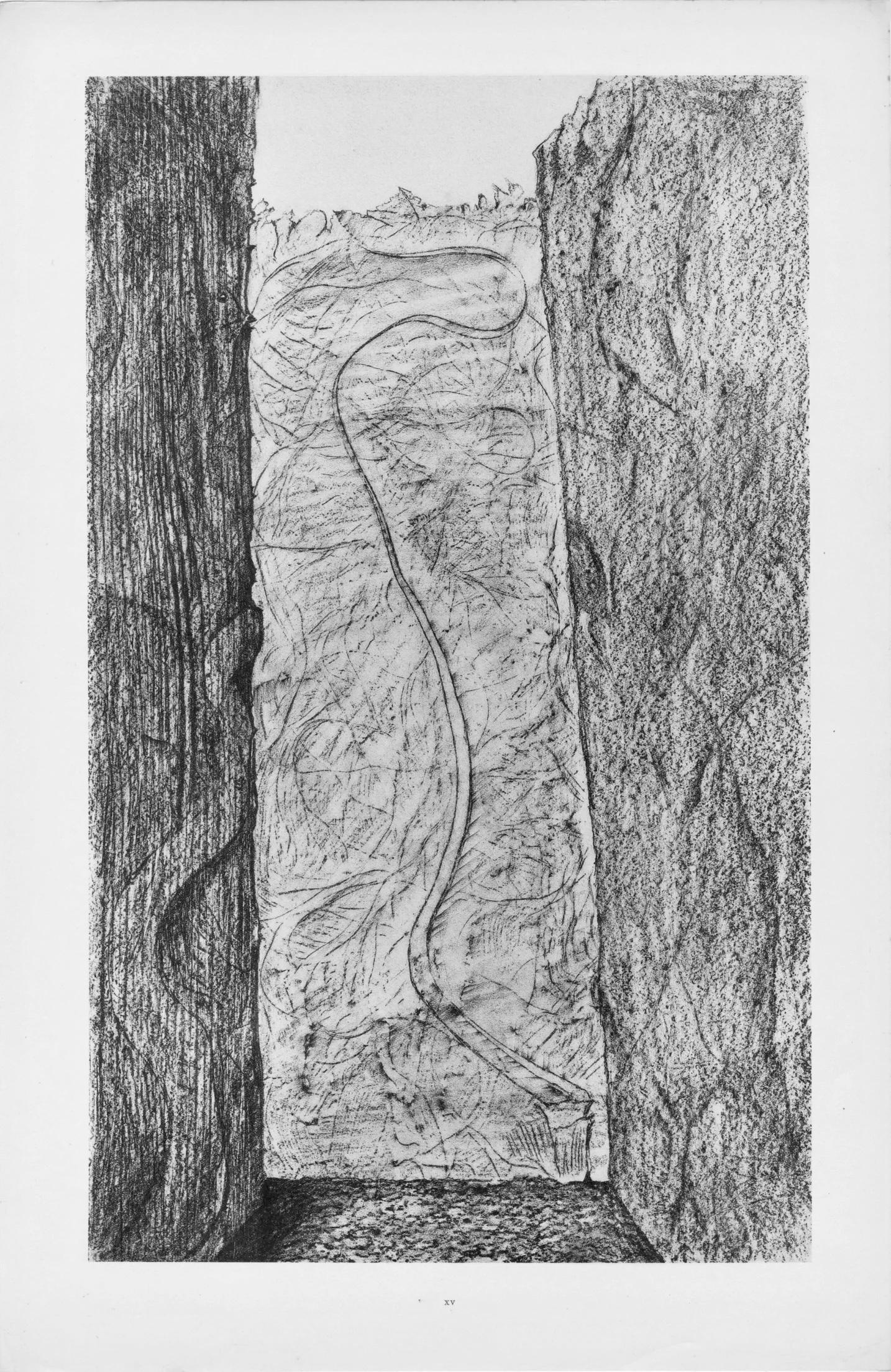 Ernst, Composition (Spies/Leppien 222), Histoire naturelle (après) - Gris Figurative Print par Max Ernst