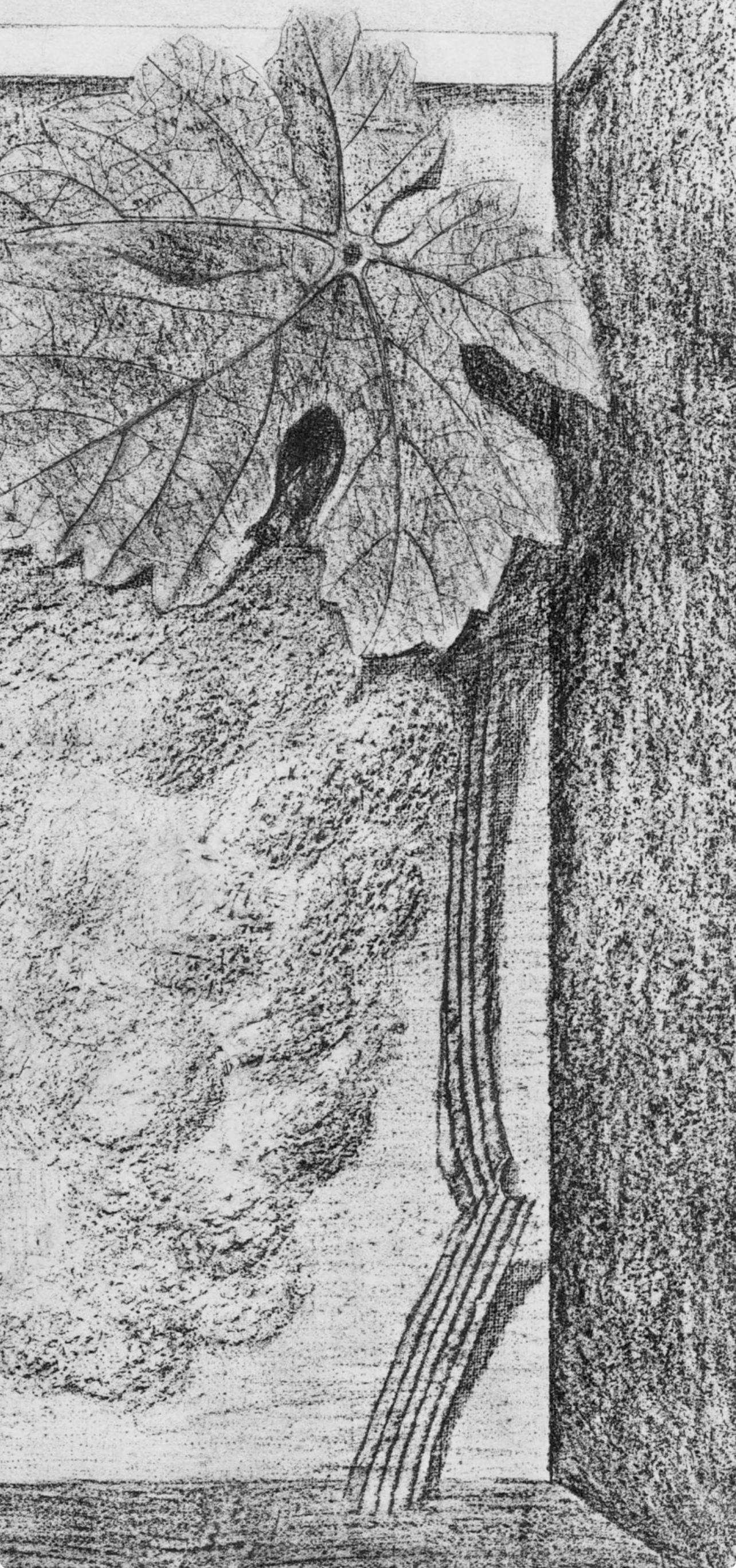 Ernst, Composition (Spies/Leppien 222), Histoire naturelle (après) - Gris Landscape Print par Max Ernst