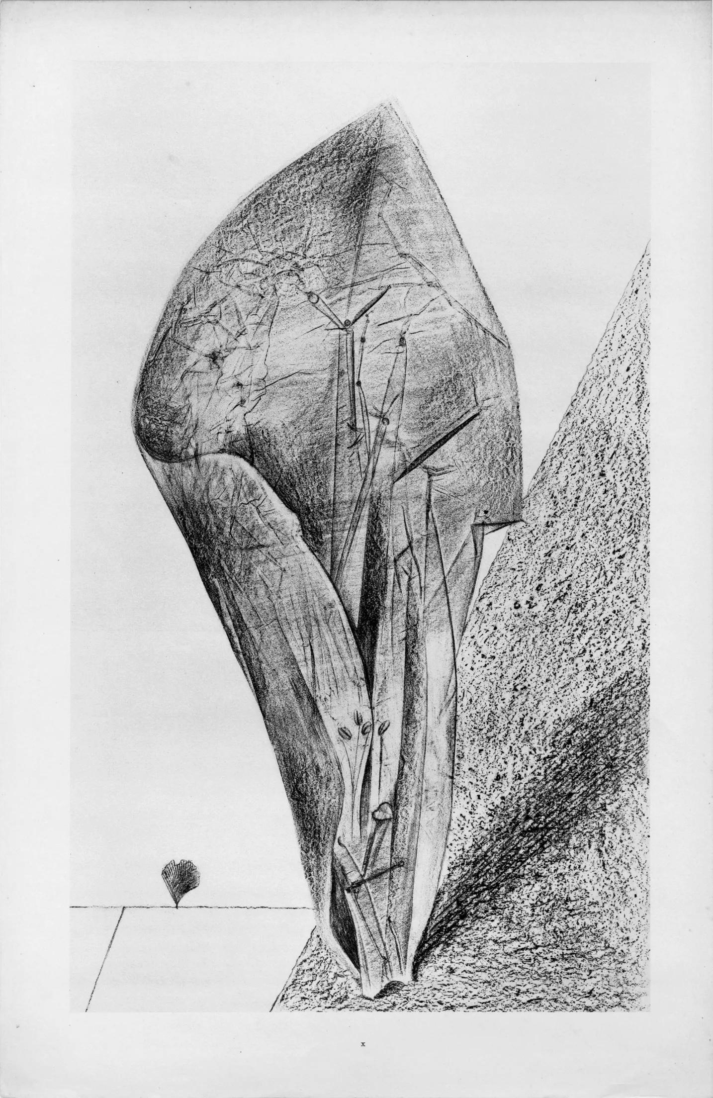 Ernst, Composition (Spies/Leppien 222), Histoire naturelle (après) - Gris Figurative Print par Max Ernst