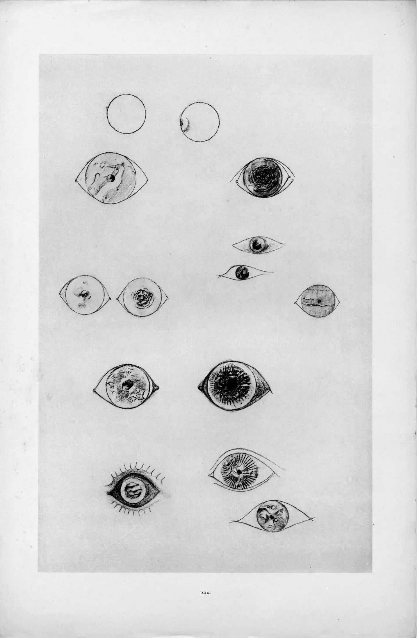 Ernst, Komposition (Spies/Leppien 222), Histoire Naturelle (nach) (Grau), Landscape Print, von Max Ernst