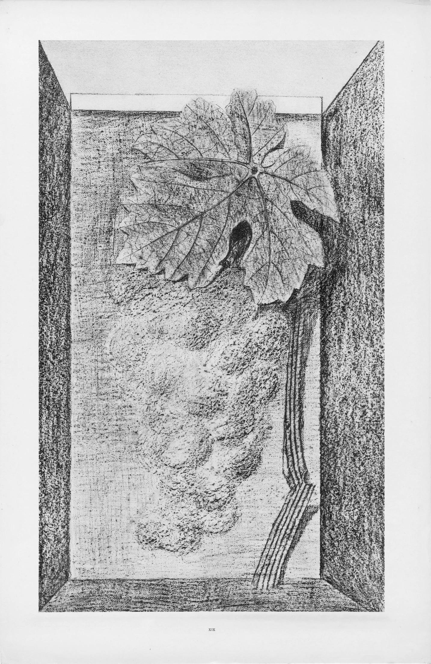 Collotype à partir de frottage sur papier vélin. Non signé et non numéroté, tel que publié. Bon état. Notes : Extrait de l'album Max Ernst, Histoire Naturelle, 1972. Publié et imprimé par Verlag Gerd Hatje, Stuttgart, 1972. Extrait de l'album