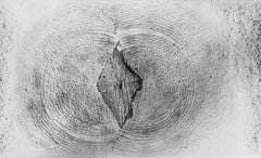 Ernst, Composizione (Spies/Leppien 222), Histoire Naturelle (dopo)