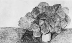 Ernst, Composition (Spies/Leppien 222), Histoire Naturelle (after)