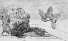 Ernst, Composition (Spies/Leppien 222), Histoire Naturelle (after)
