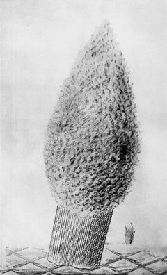 Ernst, Composition (Spies/Leppien 222), Histoire Naturelle (after)