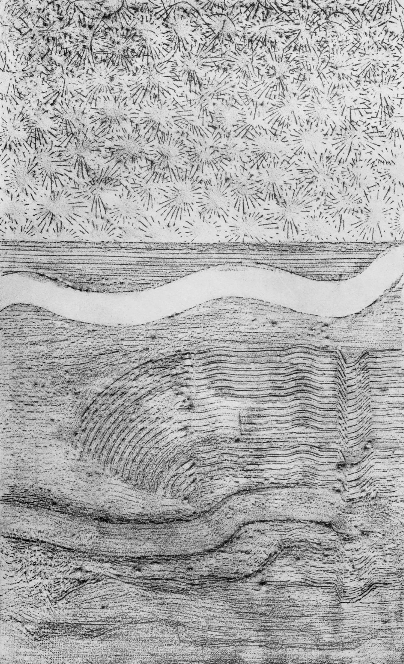 Figurative Print Max Ernst - Ernst, Composition (Spies/Leppien 222), Histoire naturelle (après)